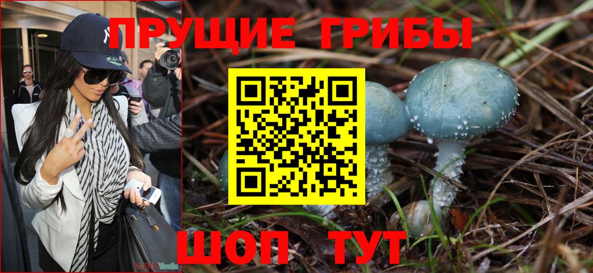 Ростов Великий  Галлюциногенные грибы мицелий  Вход с VPN  где купить наркоту  Псилоцибиновые грибы MAGIC MUSHROOMS 